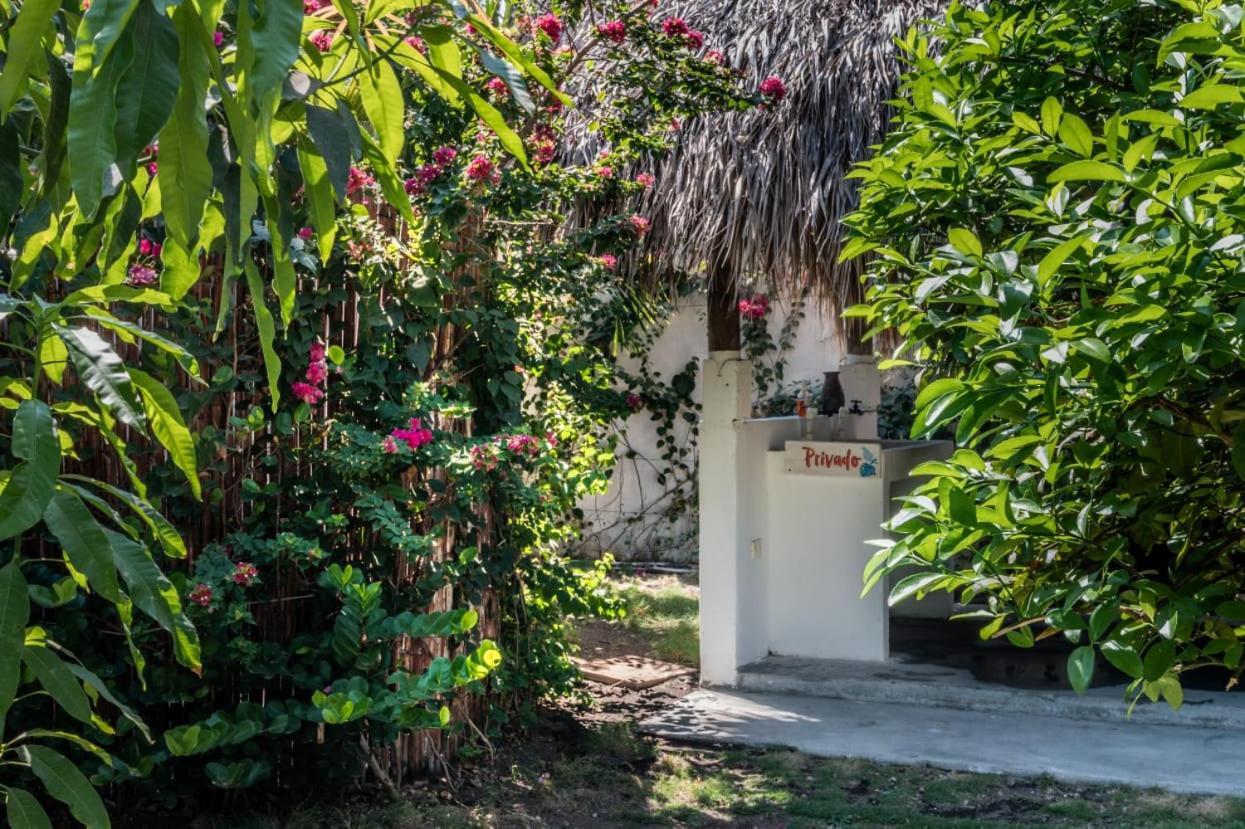 Zoah Surf Boutique Hotel, El Paredon El Paredón Buena Vista Eksteriør bilde